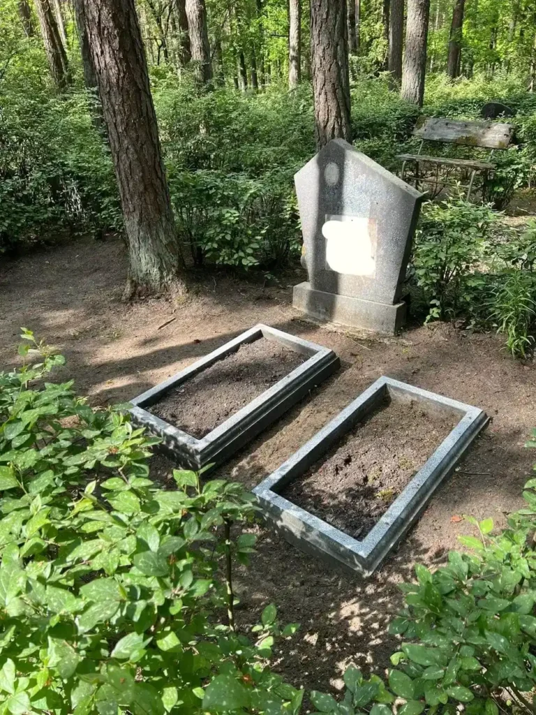 before-optimized-small