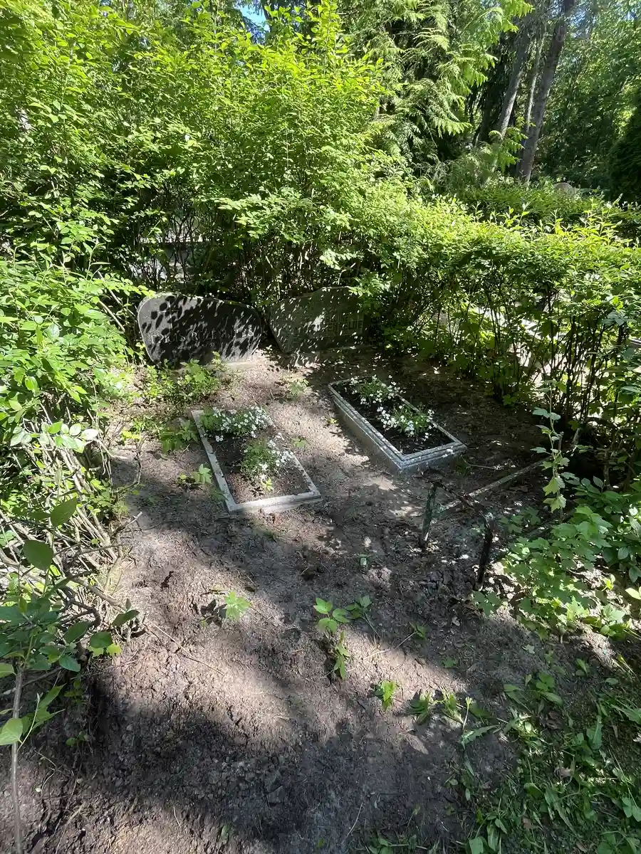 kapavieta pirms labiekārtošanas ar aizaugušu teritoriju