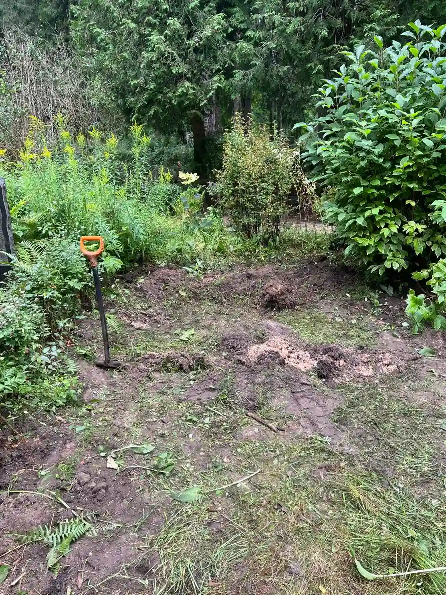 kapavietas attīrīšana no nezālēm un teritorijas sagatavošana