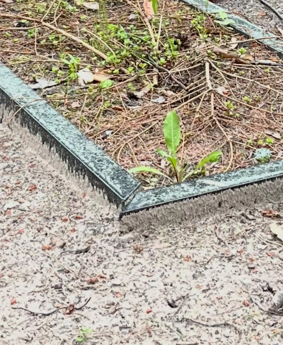 granīta kapavietas apmale pirms remonta