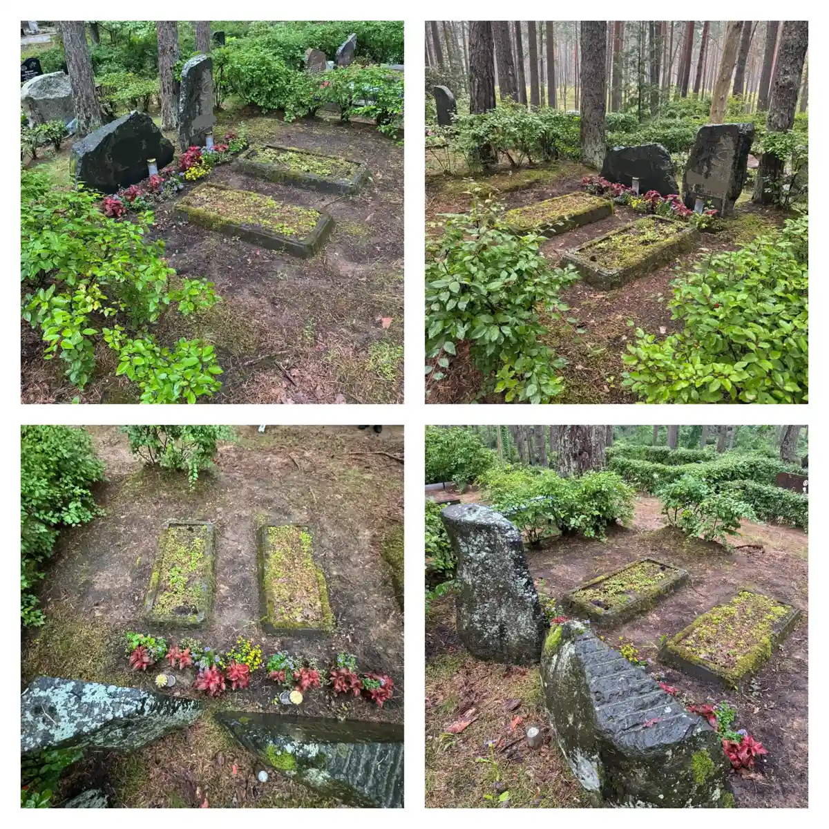 kapavietas fotofiksācijas piemērs pirms labiekārtošanas